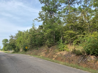Land For Sale In Tn, 6.25 Acres+/-, Paved Rd Front - image 9