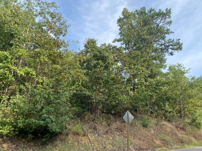 Land For Sale In Tn, 6.25 Acres+/-, Paved Rd Front - image 7