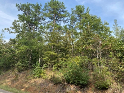 Land For Sale In Tn, 6.25 Acres+/-, Paved Rd Front - image 2