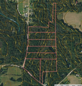 Land For Sale In Tn, 6.25 Acres+/-, Paved Rd Front - image 14