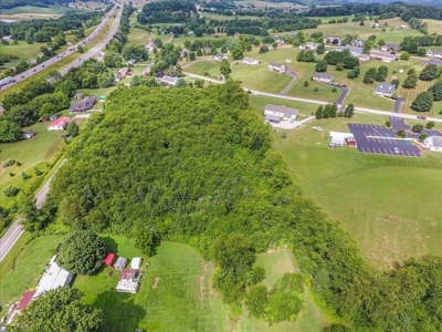 Wooded Tract of Land for Sale in Christiansburg VA - image 13