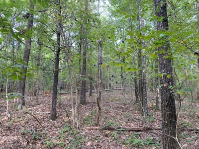 Land For Sale In Tn, 5 Acres+/-, Nice Building Site - image 4