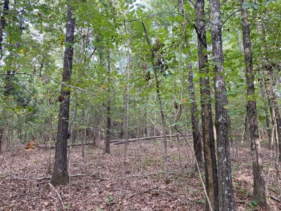 Land For Sale In Tn, 5 Acres+/-, Nice Building Site - image 5