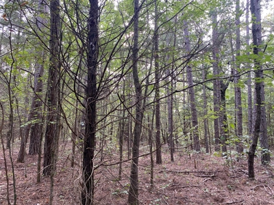 Land For Sale In Tn, 5 Acres+/-, Nice Building Site - image 20