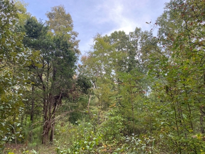 Land For Sale In Tn, 5 Acres+/-, Nice Building Site - image 23