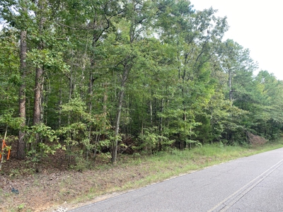 Land For Sale In Tn, 5 Acres+/-, Nice Building Site - image 6