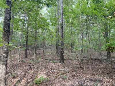 Land For Sale In Tn, 5 Acres+/-, Nice Building Site - image 17