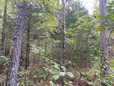Land For Sale In Tn, 5 Acres+/-, Nice Building Site - image 22