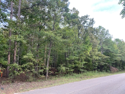 Land For Sale In Tn, 5 Acres+/-, Nice Building Site - image 1