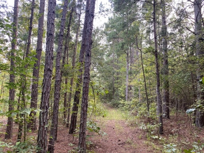 Land For Sale In Tn, 5 Acres+/-, Nice Building Site - image 21