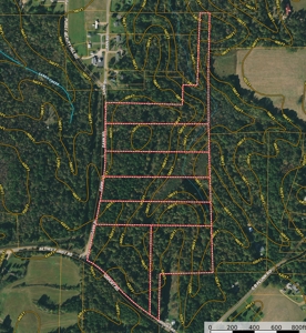 Land For Sale In Tn, 5 Acres+/-, Nice Building Site - image 26