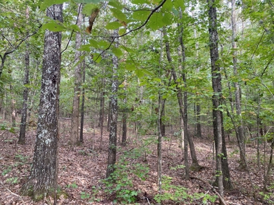 Land For Sale In Tn, 5 Acres+/-, Nice Building Site - image 10