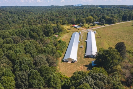 Poultry Farm for Sale in Dobson NC - image 12