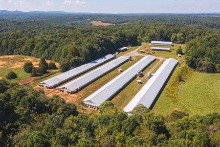 Poultry Farm for Sale in Dobson NC - image 3