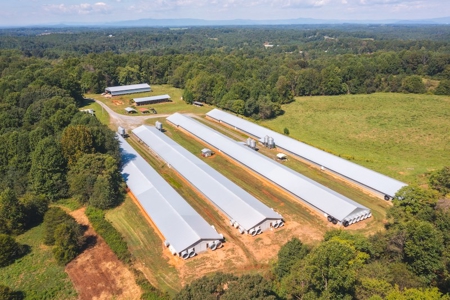 Poultry Farm for Sale in Dobson NC - image 4