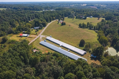 Poultry Farm for Sale in Dobson NC - image 13