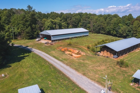 Poultry Farm for Sale in Dobson NC - image 7