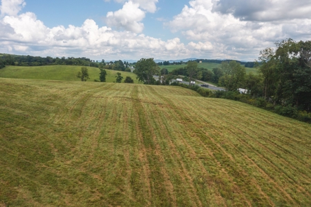 Offering #2 - Commercial Building Site for Sale at Auction - image 8