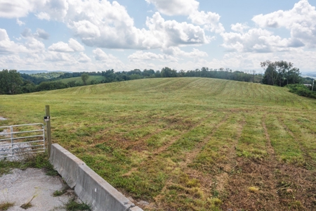 Offering #2 - Commercial Building Site for Sale at Auction - image 10