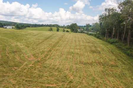 Offering #2 - Commercial Building Site for Sale at Auction - image 3