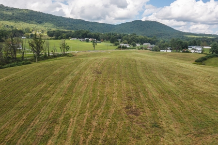 Offering #2 - Commercial Building Site for Sale at Auction - image 4