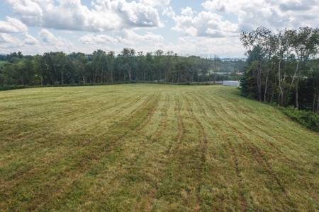 Offering #2 - Commercial Building Site for Sale at Auction - image 6