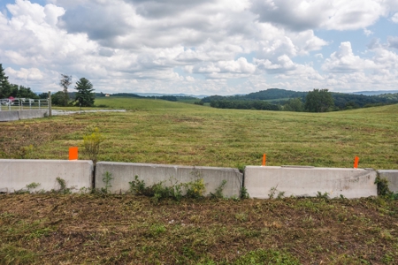Offering #2 - Commercial Building Site for Sale at Auction - image 12
