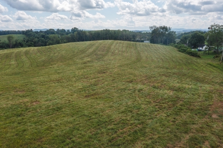 Offering #2 - Commercial Building Site for Sale at Auction - image 13