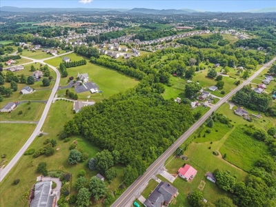 Wooded Tract of Land for Sale in Christiansburg VA - image 4