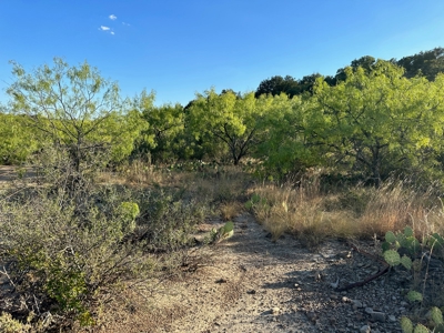 Listing - image 6