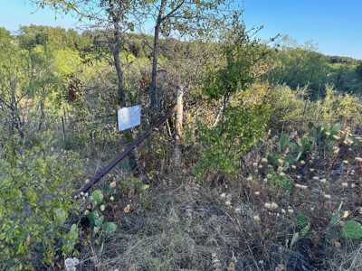Listing - image 9