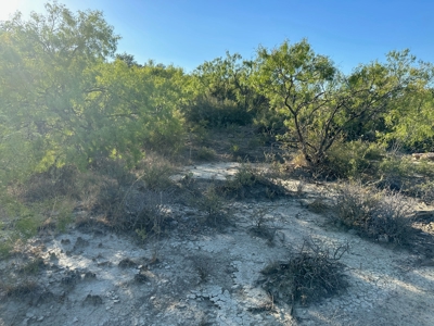 Listing - image 7