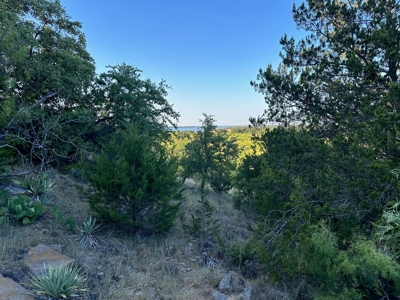 Listing - image 1