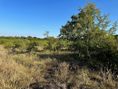 Listing - image 4