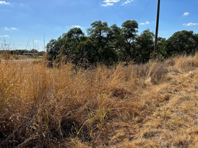 Lot 993 in the Kings Point Cove Resort Near Lake Brownwood - image 2