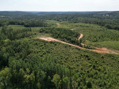 Land of Opportunities: 138 Acres in Stonewall, Concord, VA - image 28