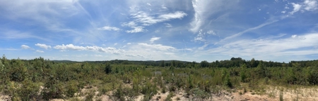 Land of Opportunities: 138 Acres in Stonewall, Concord, VA - image 21