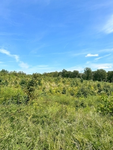 Land of Opportunities: 138 Acres in Stonewall, Concord, VA - image 16