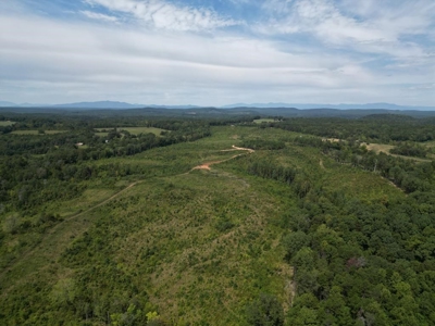 Land of Opportunities: 138 Acres in Stonewall, Concord, VA - image 24