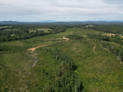 Land of Opportunities: 138 Acres in Stonewall, Concord, VA - image 25