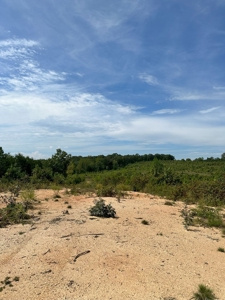 Land of Opportunities: 138 Acres in Stonewall, Concord, VA - image 5