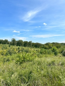 Land of Opportunities: 138 Acres in Stonewall, Concord, VA - image 15