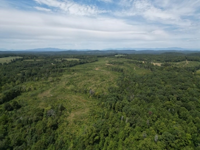 Land of Opportunities: 138 Acres in Stonewall, Concord, VA - image 23