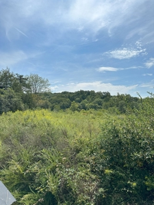 Land of Opportunities: 138 Acres in Stonewall, Concord, VA - image 12