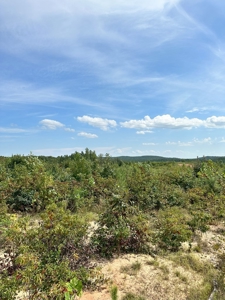 Land of Opportunities: 138 Acres in Stonewall, Concord, VA - image 19