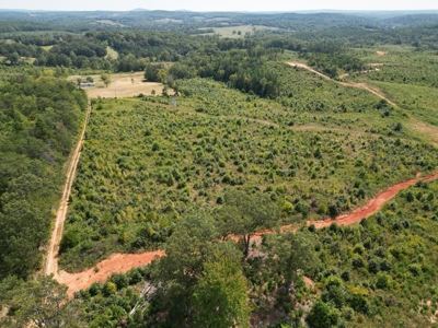 Land of Opportunities: 138 Acres in Stonewall, Concord, VA - image 22