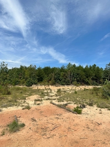 Land of Opportunities: 138 Acres in Stonewall, Concord, VA - image 20