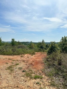 Land of Opportunities: 138 Acres in Stonewall, Concord, VA - image 2