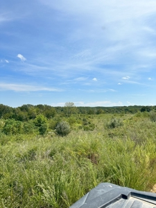 Land of Opportunities: 138 Acres in Stonewall, Concord, VA - image 14