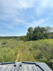 Land of Opportunities: 138 Acres in Stonewall, Concord, VA - image 13